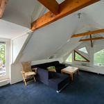 Rent 1 bedroom apartment of 60 m² in Arnhem