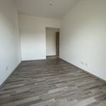 Rent 3 bedroom apartment of 65 m² in Gratkorn