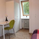 Rent 6 bedroom apartment in Bremen