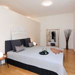 Rent 3 bedroom apartment of 93 m² in Arbedo-Castione