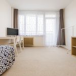 Rent 1 bedroom apartment of 69 m² in Plzeň