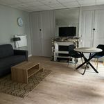 Appartement de 27 m² avec 1 chambre(s) en location à Grenoble