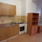 Rent 1 bedroom apartment of 52 m² in Vavrinec
