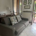 Rent 2 bedroom apartment of 60 m² in Manerba del Garda