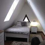 Rent 4 bedroom apartment in Wrocław