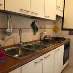 Rent 4 bedroom apartment of 130 m² in Ciampino