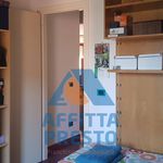 Rent 3 bedroom house of 70 m² in Firenze