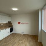 Rent 2 bedroom apartment of 49 m² in Teplice