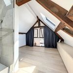 Rent 1 bedroom house in Brussels