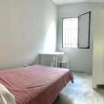 Alquilar 8 dormitorio apartamento en Cordoba