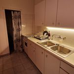 Rent 1 bedroom house of 39 m² in Budapest