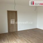 Rent 2 bedroom apartment of 45 m² in Zbůch