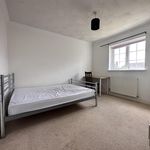 Rent 4 bedroom house in Norwich
