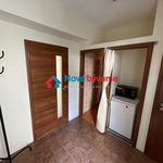 Rent 3 bedroom apartment of 50 m² in Číhošť