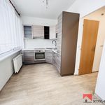 Rent 1 bedroom apartment of 35 m² in Roudnice nad Labem