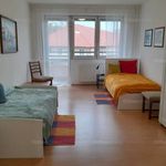 Rent 3 bedroom apartment of 68 m² in Tatabánya
