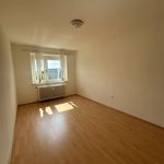Rent 2 bedroom apartment of 56 m² in Gmünd