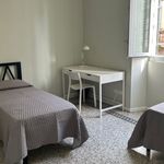 Rent 2 bedroom student apartment of 163 m² in Firenze