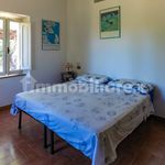 Rent 5 bedroom apartment of 147 m² in Monte Argentario