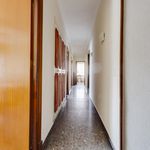 Rent 6 bedroom apartment in Murcia