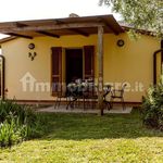 Rent 4 bedroom house of 130 m² in Calci