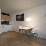 30 m² Studio in munich