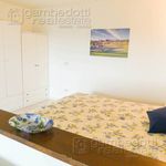 Rent 1 bedroom apartment of 55 m² in Urbino