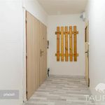Rent 1 bedroom apartment of 40 m² in Plzeň