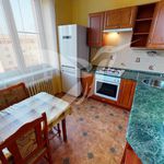Rent 2 bedroom apartment of 61 m² in Plzeň