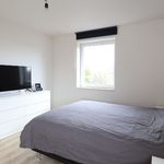 Huur 3 slaapkamer huis in Roeselare