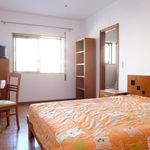 Alugar 9 quarto apartamento em Coimbra