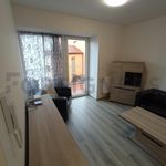 Rent 1 bedroom apartment of 61 m² in Brno