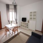 Rent a room of 156 m² in Milano