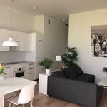 Rent 3 bedroom apartment of 63 m² in Łódź