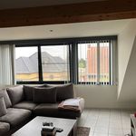 Rent 1 bedroom apartment in Herselt