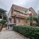 Affitto 1 camera appartamento di 30 m² in Santa Marinella