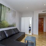 Alquilo 1 dormitorio apartamento de 60 m² en Madrid