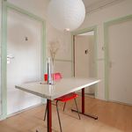 Rent 4 bedroom apartment of 70 m² in Groningen