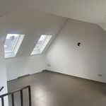 Rent 1 bedroom apartment in Kruibeke