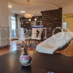 Rent 4 bedroom apartment of 145 m² in Zagreb