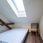 Rent 1 bedroom apartment of 45 m² in Pardubice
