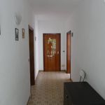 Rent 3 bedroom apartment of 95 m² in Cervia