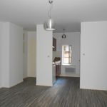 Rent 1 bedroom apartment of 35 m² in Nancy