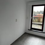 Huur 3 slaapkamer appartement van 154 m² in Meerhout