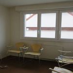 Rent 1 bedroom apartment in Montargis