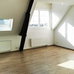 Rent 1 bedroom apartment in Braine-le-Comte