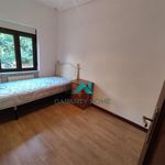 Rent 3 bedroom apartment of 50 m² in Salamanca