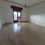 Rent 1 bedroom apartment of 150 m² in Cittanova