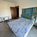 Affitto 3 camera appartamento di 70 m² in Chieti