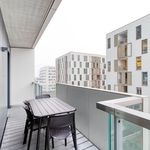Rent 3 bedroom apartment of 82 m² in Wien